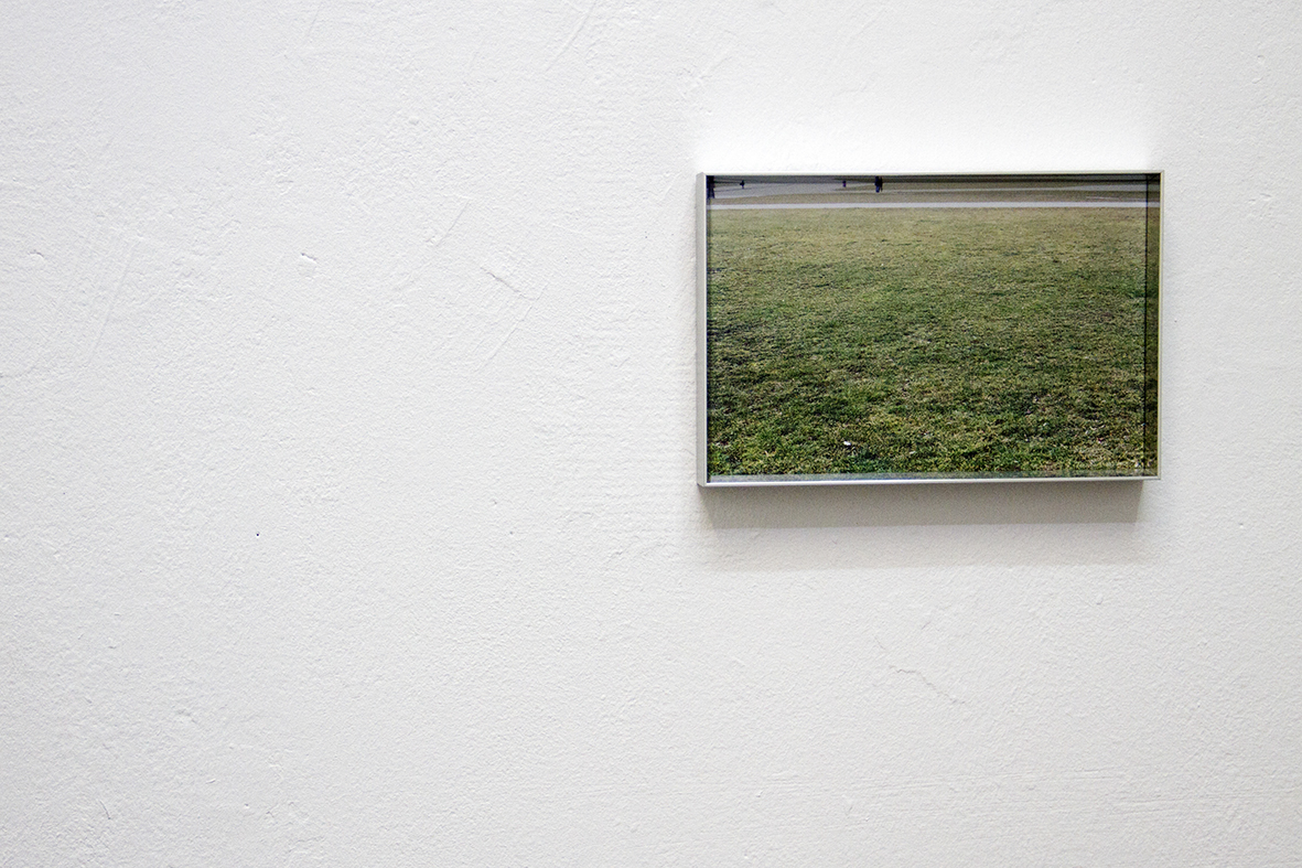 Gras-drüber-wachsen-lassen